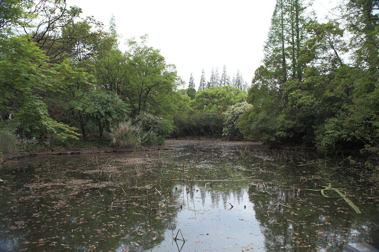 EOS 5D Mark II16_04_20135186.JPG